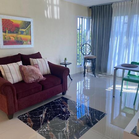 Tiny Apartment By Merengue House ,8 Minutos Airport 聖多明哥 外观 照片
